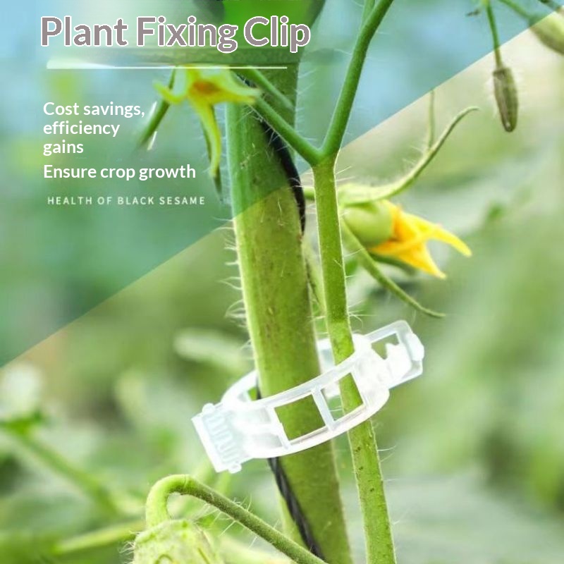 Vine Climbing Plastic - プラスチック製植物サポートクリップ 再利用可能なつる性植物固定クランプ トマトや野菜のつる性植物用 ガーデン植物固定クリップ