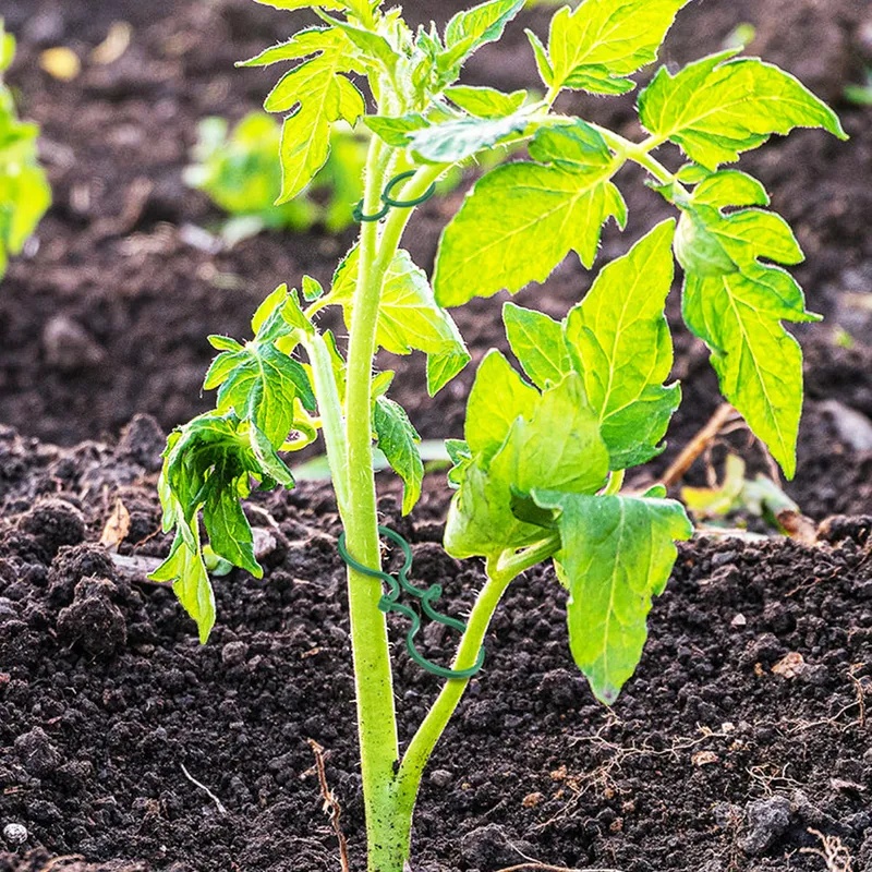 50-400個入り 植物サポートクリップ 耐候性プラスチック - Vine Climbing Plastic のレビューと価格