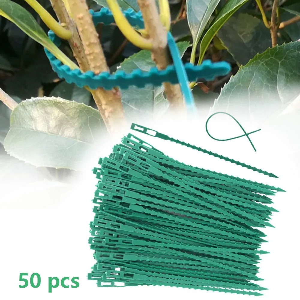 50個入り 調整可能なプラスチック製植物用ケーブルタイ 再利 - Vine Climbing Plastic のレビューと価格
