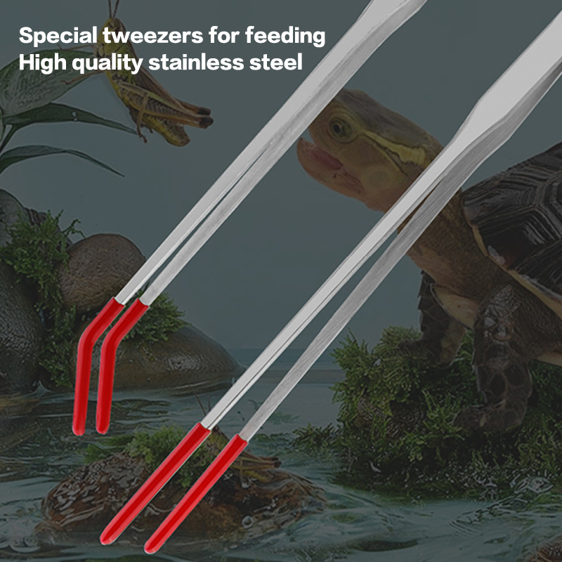 ステンレス製爬虫類用餌やりトング（ゴム製先端付き）水族館用ス - Feeding Tong Stainless のレビューと価格