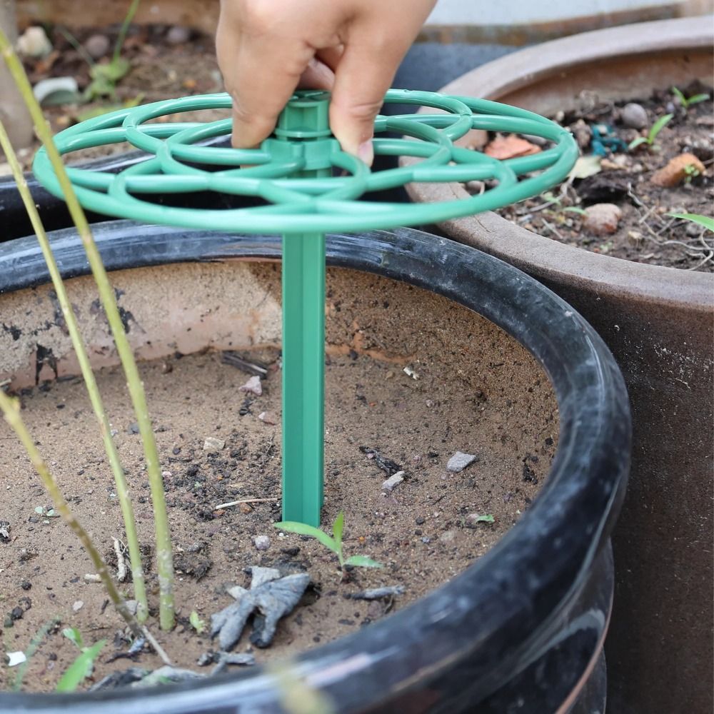 S/M/L プラスチックガーデンスタッカブル盆栽クライミング - Vine Climbing Plastic のレビューと価格