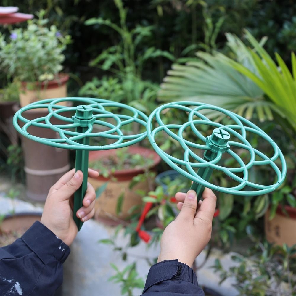 S/M/L プラスチックガーデンスタッカブル盆栽クライミング - Vine Climbing Plastic のレビューと価格