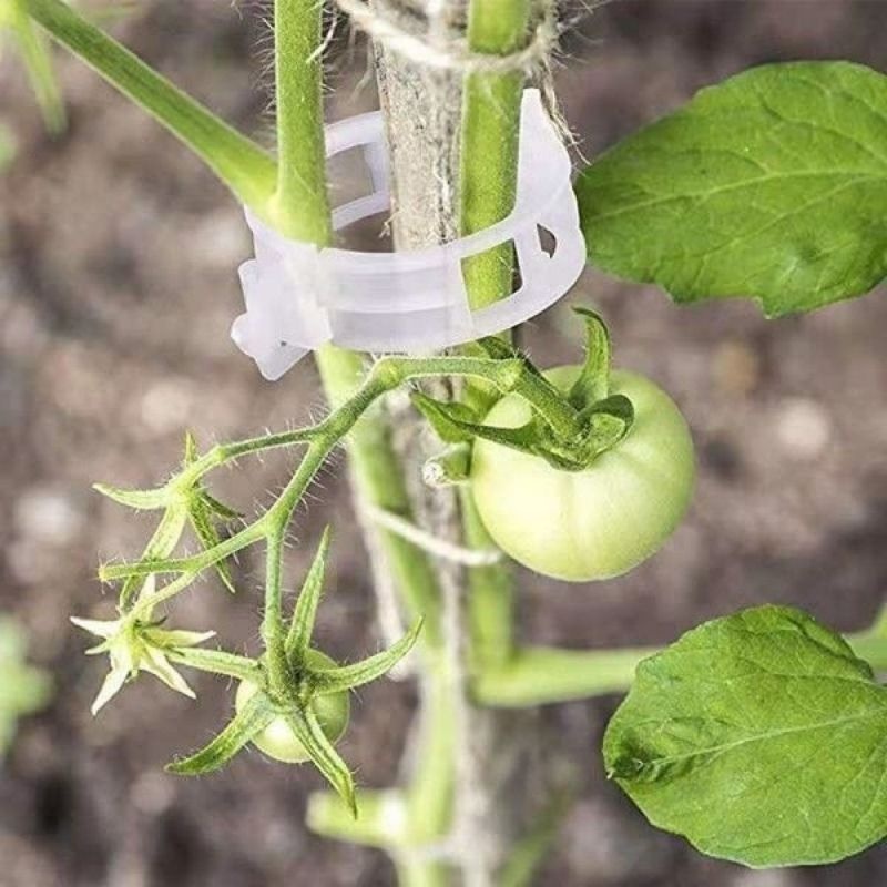 プラスチック製植物サポートクリップ 再利用可能なつる性植物固 - Vine Climbing Plastic のレビューと価格